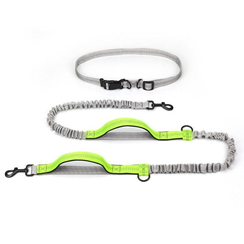 Ultimate Outdoor Adventure Dog Leash