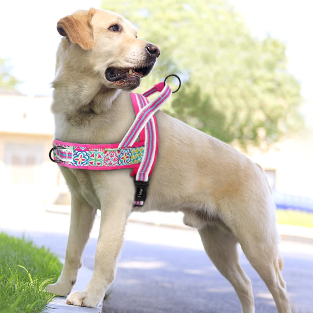 Reflective Dog Harness Soft Padded Colorful Print With Handle