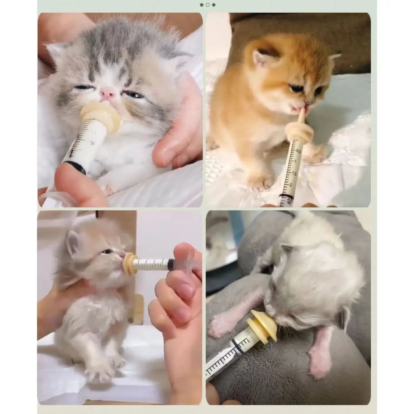 PetNurture Silicone Feeding Syringe & Nipple Set