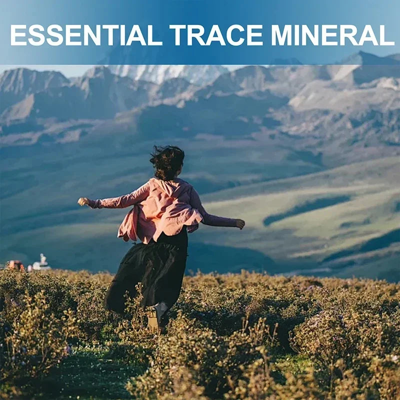 ZincBoost+ Immune & Skin Health Capsules, Non-GMO